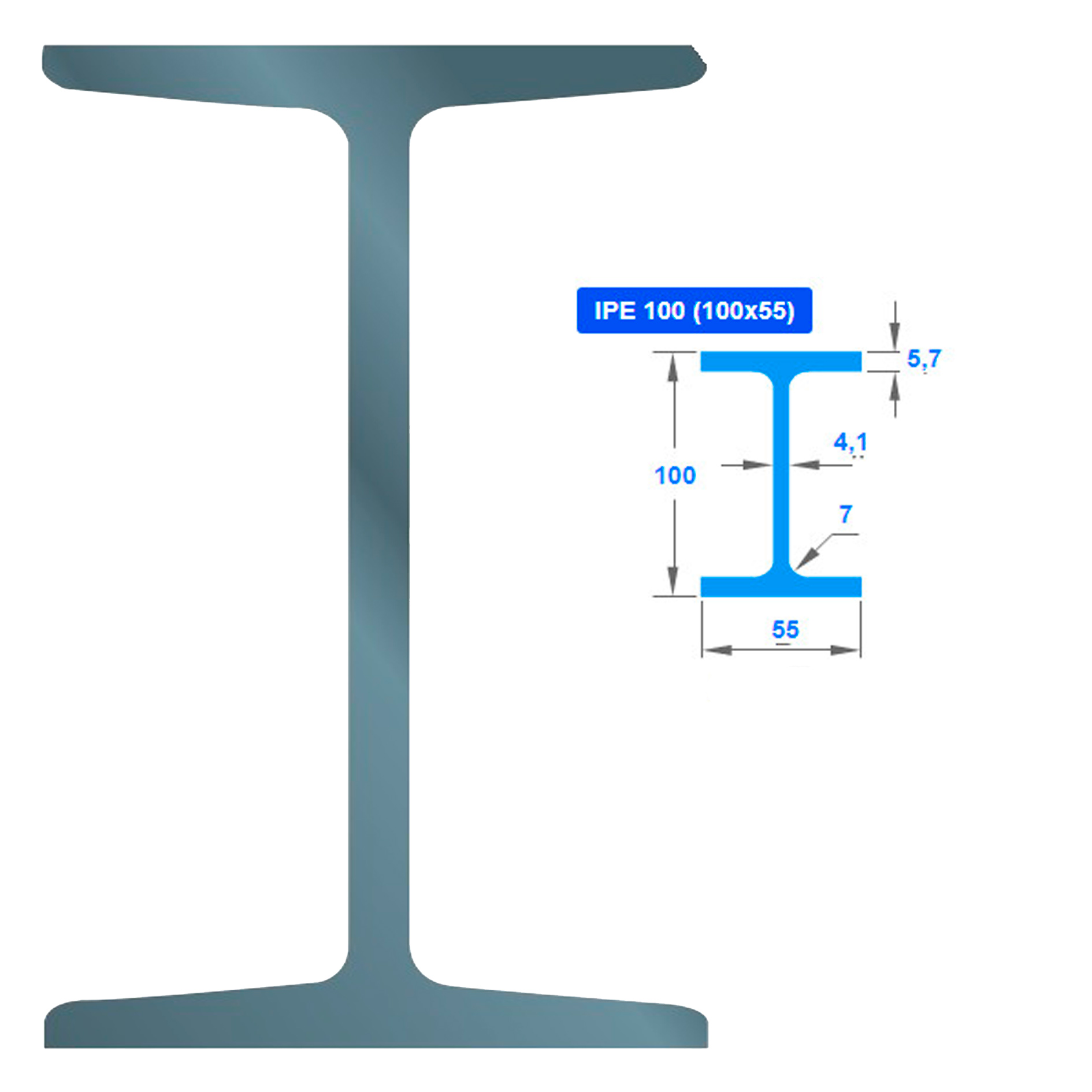 ორტესებრი IPE 100 004231