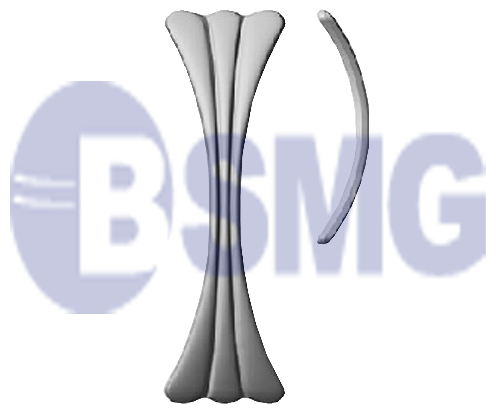 ლითონის კარის სახელირი   5,7*22,5 სმ   010596