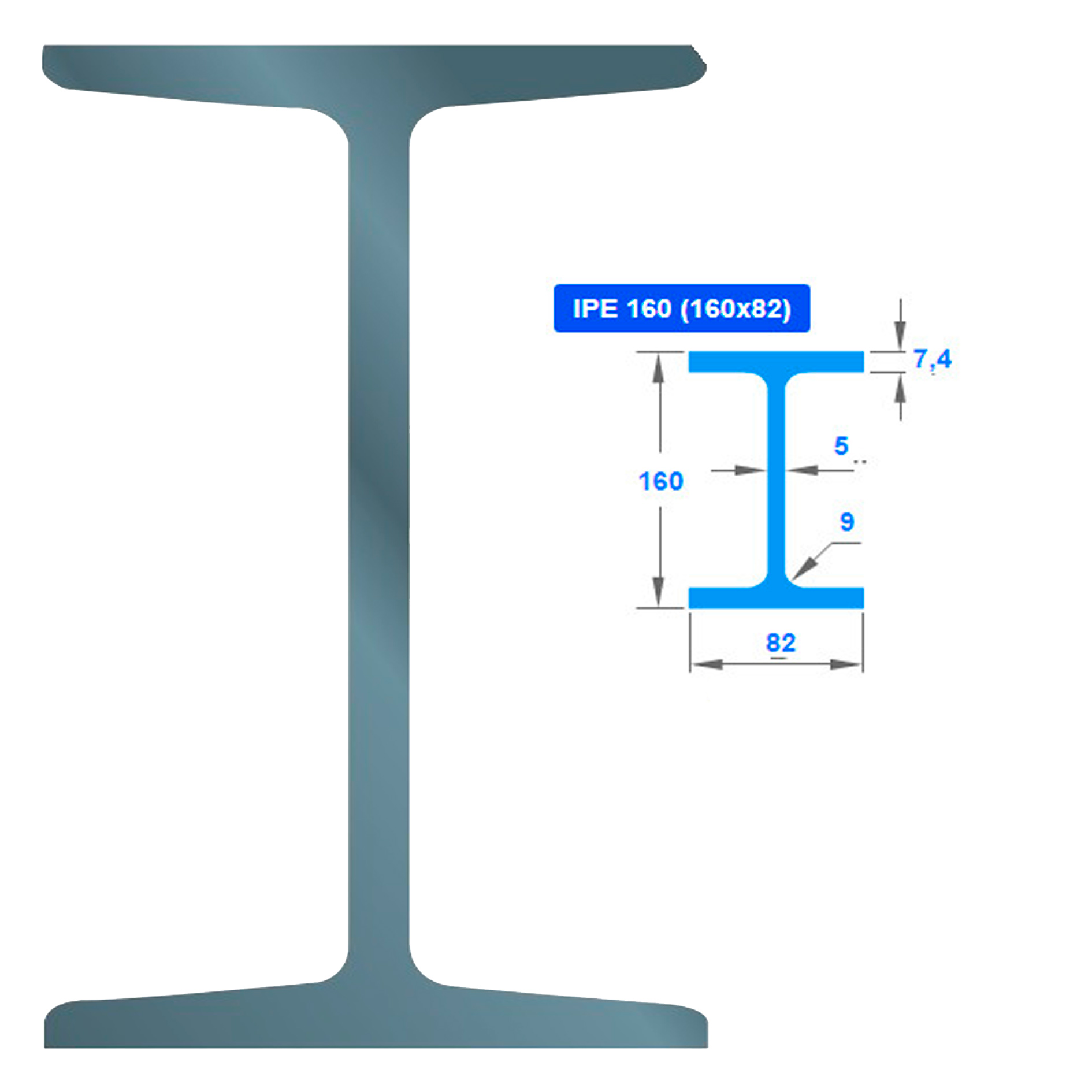 ორტესებრი IPE 160 006835