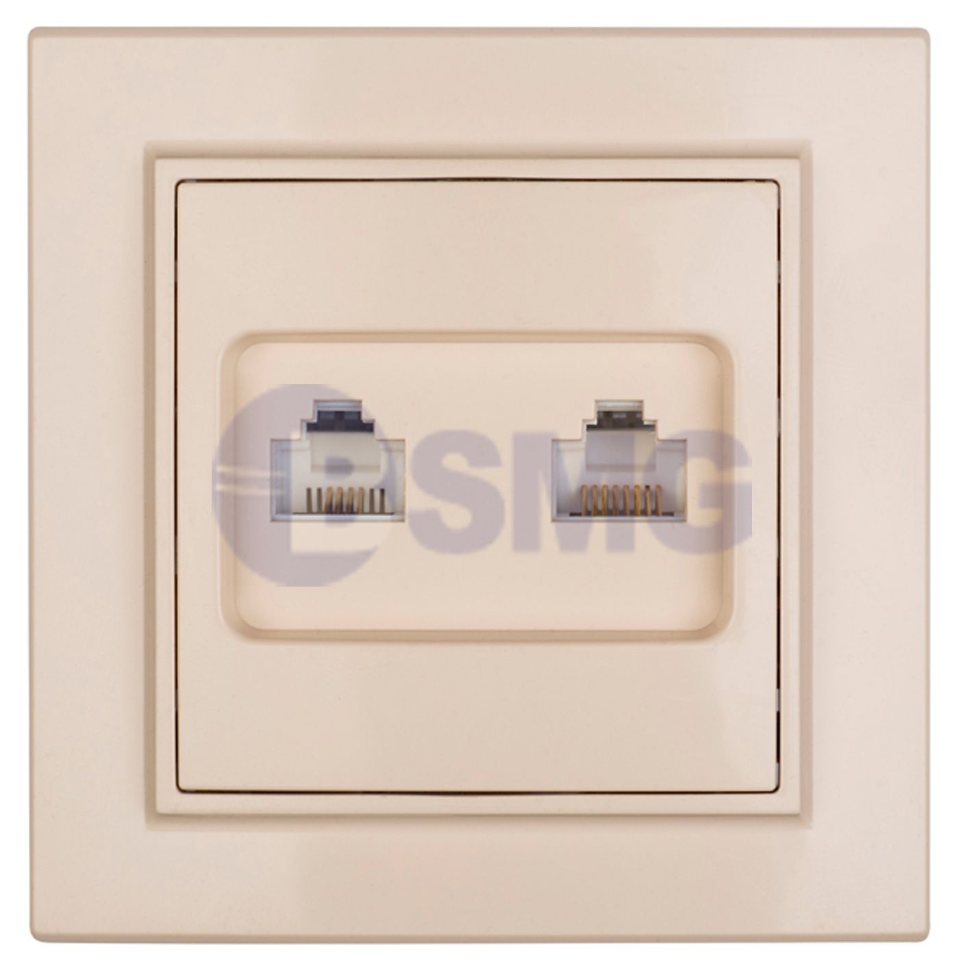 RJ-45+Phone Cn ბეჟი/მინსკი EKF    027194