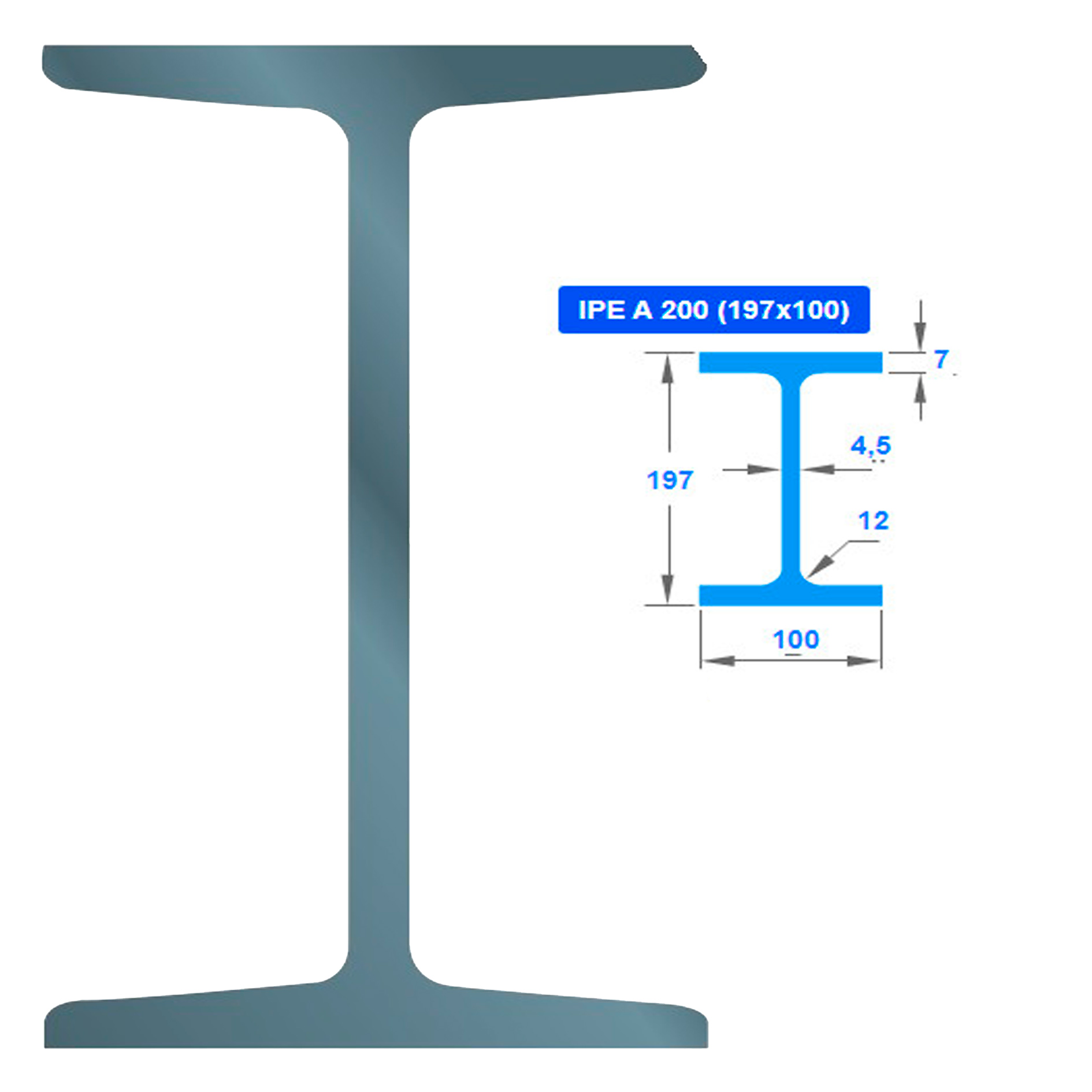 ორტესებრი IPEA  200 010169