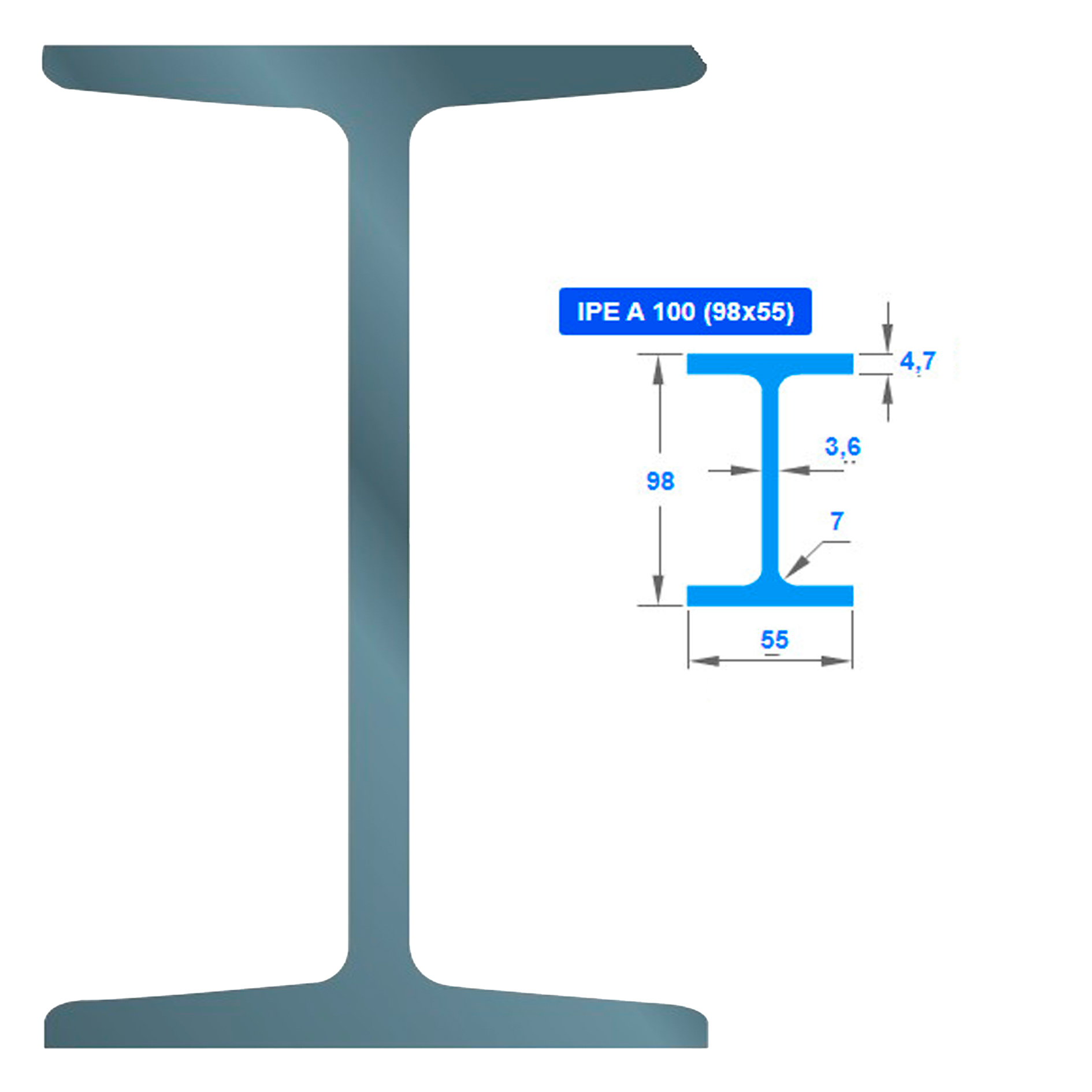 ორტესებრი IPEA  100  010166