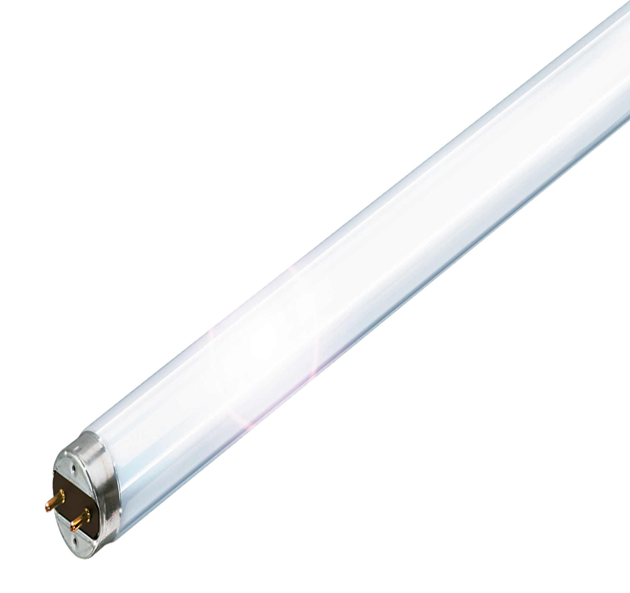 ნათურა 36ვ PHILIPS     025591