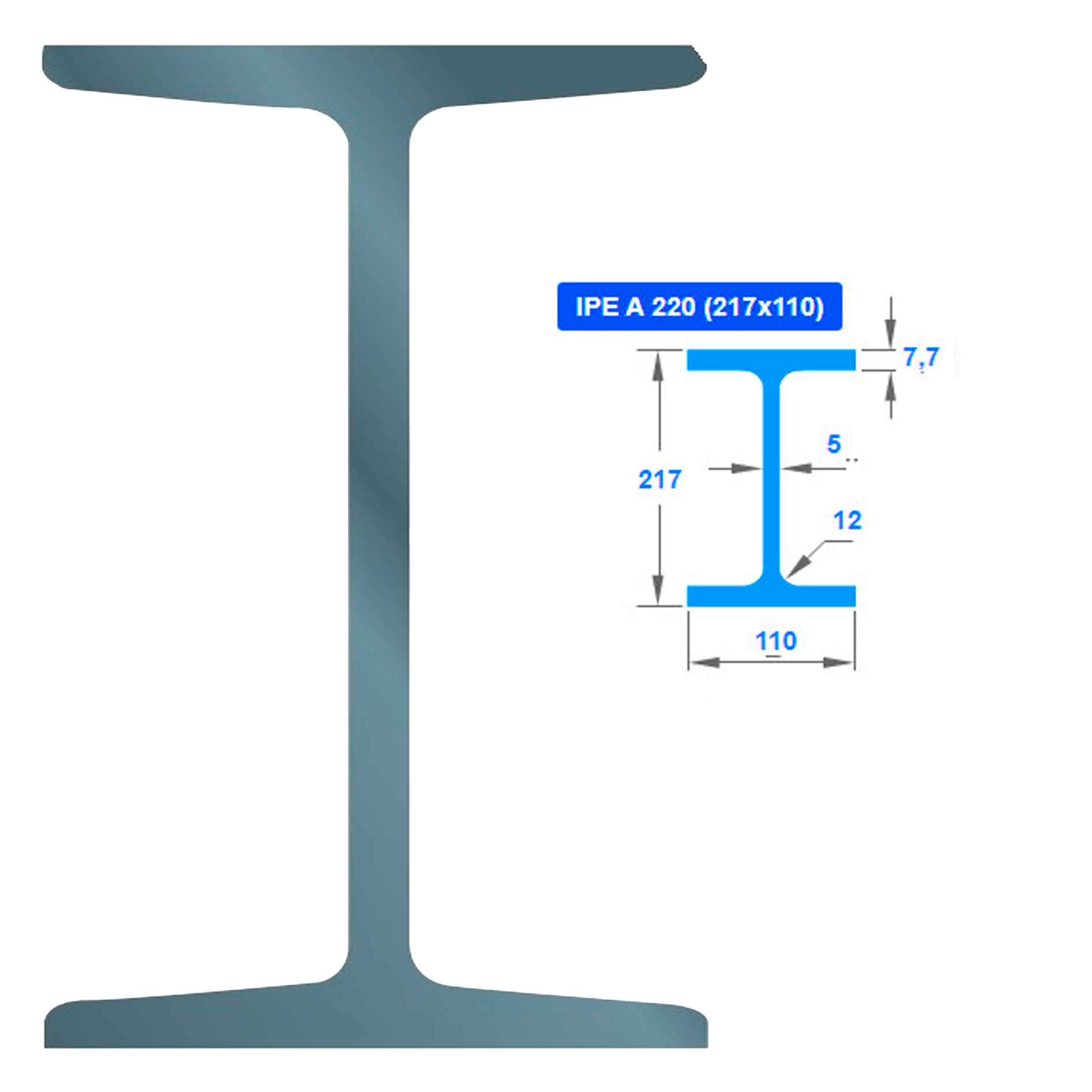 ორტესებრი IPEA 220 010171