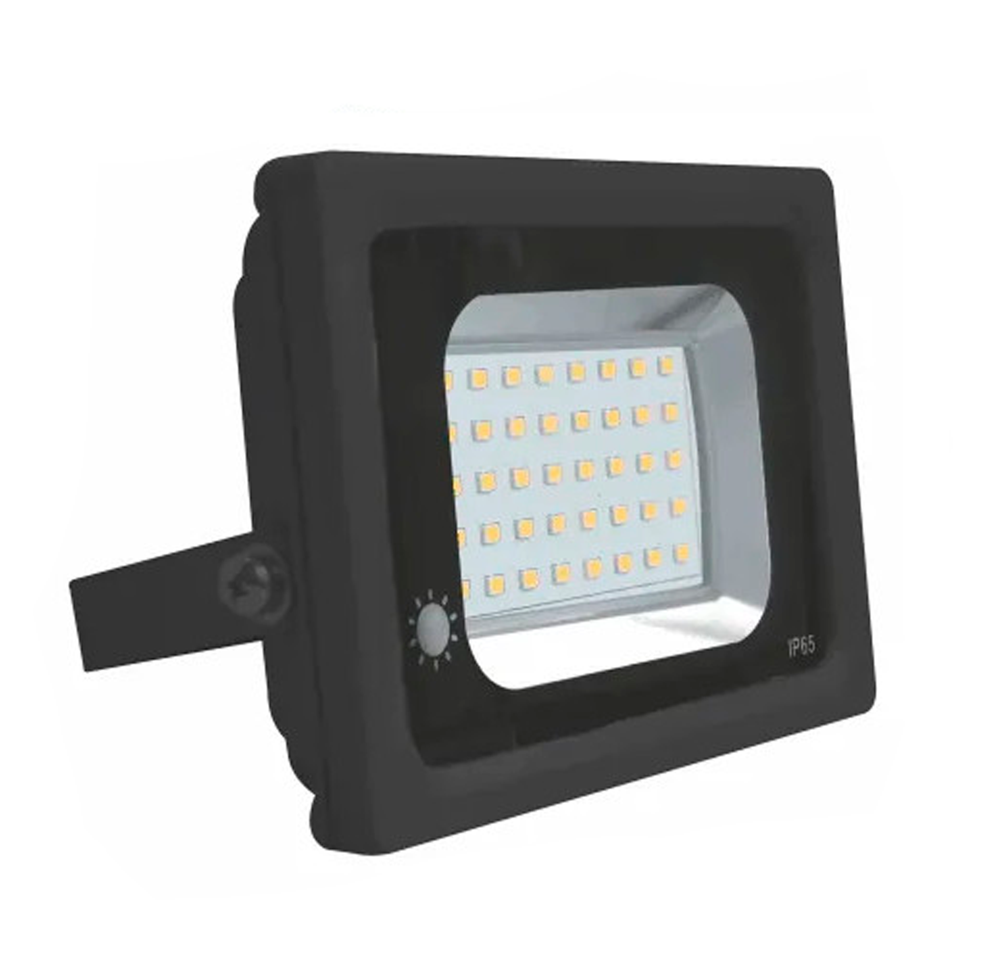LINUS LED პროჟექტორი 30w 6500k IP65   018676